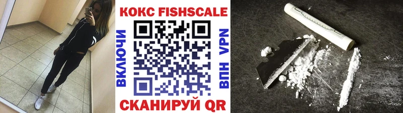 купить сайты Чегем это Telegram КОКАИН Fish Scale