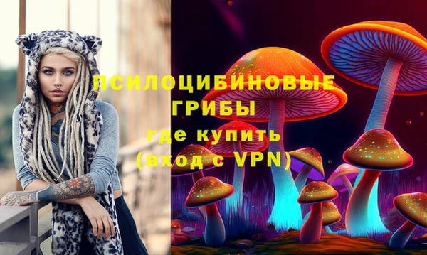 гидропоника Няндома