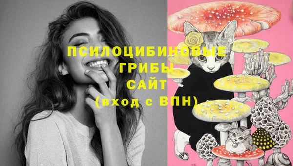 гидропоника Няндома