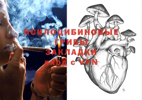 гидропоника Няндома