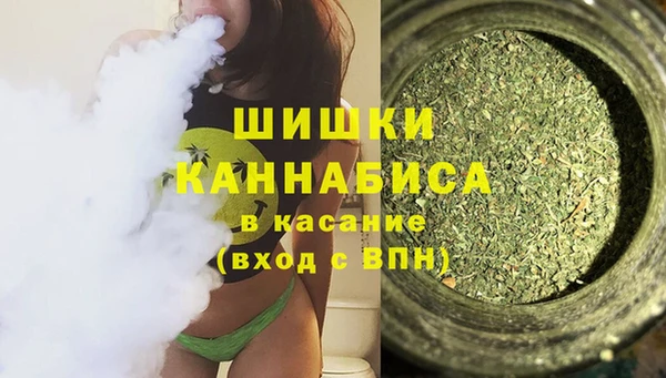 гидропоника Няндома
