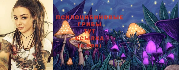 MDMA Нязепетровск