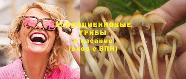 гидропоника Няндома