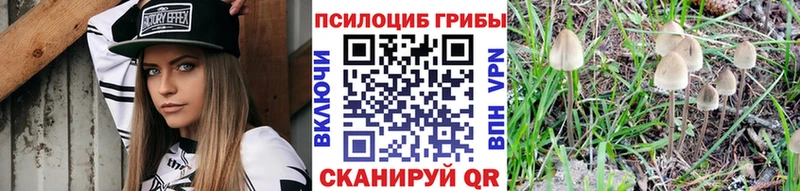 Галлюциногенные грибы MAGIC MUSHROOMS  хочу   Чегем 